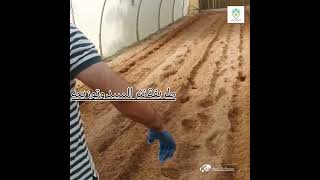 Basamid Soil treatment [upl. by Beitch]