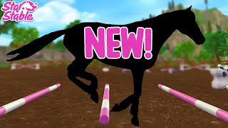 SECRET NEW RACE PROPS amp MINI JUMPS FOR SELLE FRANCAIS STAR STABLE 😍 [upl. by Arivle]