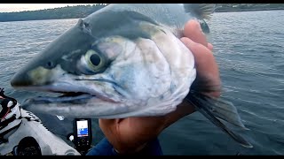 First Salmon Of 2024Kayaking fishing Puget Sound [upl. by Ames774]