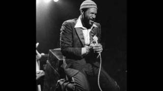 Marvin Gaye  Inner City Blues live at the Kennedy Center May 1st 1972 [upl. by Nauqad608]