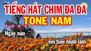 Karaoke Tiếng Hát Chim Đa Đa Tone Nam  Em  Nhạc Sống Mới  Karaoke Xóm Lộ [upl. by Nnairol]