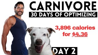 30 Days To The Most Optimized Carnivore Diet EVER  DAY 2 [upl. by Delanty]