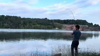 Striped bass fishing on topwater amazing day fishing [upl. by Merth]