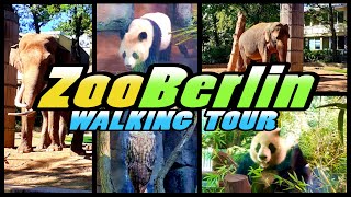 ZOO BERLIN walking tour  Zoologischer Garten Berlin  Germany 4k [upl. by Vivianne]