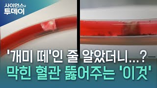 개미 떼인 줄 알았더니…국산 마이크로 로봇 등장  YTN 사이언스 [upl. by Wina]