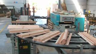 Monari Pallets srl [upl. by Stronski]