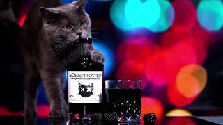 Böser Kater Gin [upl. by Wolf668]