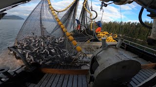 Alaska Commercial Salmon Fishing B2B2B Seining Sets  ALL GAS NO BREAKS BAYBEE [upl. by Lzeil]