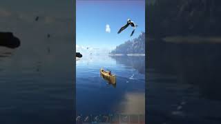 seagull gives chase arksurvivalevolved gaming [upl. by Aneeras786]