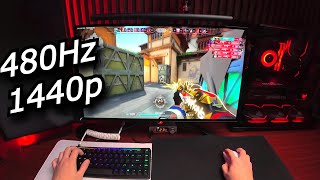 The BEST Gaming Monitor Ive Ever Tried [upl. by Brittan]