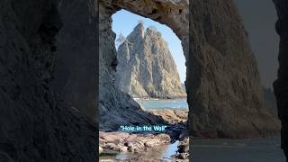 Hole in the Wall Rialto Beach 🪨😍 Best Things to do in Washington 🌲  Olympic National Park [upl. by Trager]