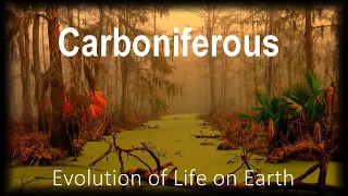 The Evolution of Life part 6  Carboniferous [upl. by Slayton]