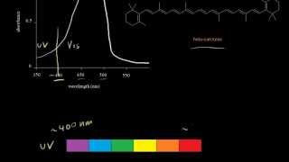 Absorption in the visible region  Spectroscopy  Organic chemistry  Khan Academy [upl. by Eikcaj564]