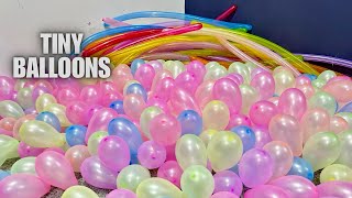 Balloon Popping Small Balloon ChallengeFunny Balloon challenge [upl. by Whitcomb]