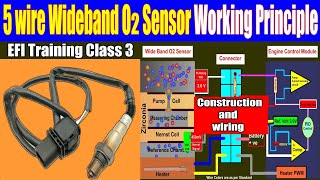 5 wire Wideband o2 sensor construction and wiring  Lambda sensor  Oxygen sensor EFI electrician [upl. by Benedicta708]