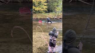 Catching King Salmon fishing freshwaterfish kingsalmon salmonrun salmon michigan fish [upl. by Yedrahs]