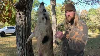 Wild Hog Skinning hoghunting alone [upl. by Billat]