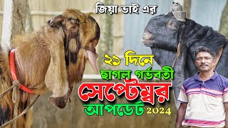 ২১ দিনের চুক্তিতে ছাগল গর্ভবতী। কি কি পাঠা আছে এবং কোন কোন জেলার ছাগল আছে জিয়া ভাই খামারে দেখুন [upl. by Hasty]