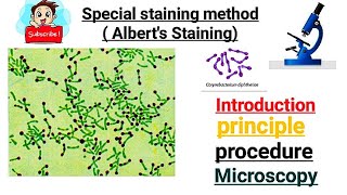 Alberts Staining  Special staning Method  part 4 [upl. by Acirea]