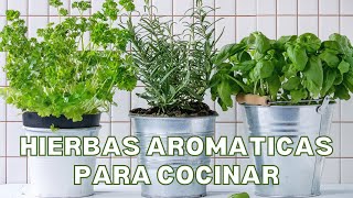 HIERBAS AROMÁTICAS QUE NO PUEDEN FALTAR EN TU COCINA [upl. by Toille983]