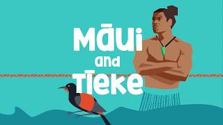 The pūrākau legend of Māui and Tīeke [upl. by Mahau]