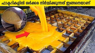 ഫാക്ടറികളിൽ ശർക്കര നിർമ്മിക്കുന്നത് ഇങ്ങനെയാണ്  How Jaggery is made in Factory [upl. by Najtsirk69]