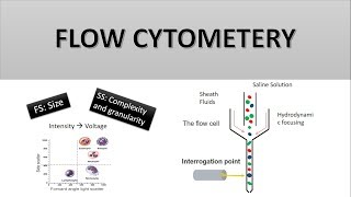 The Principle of Flow Cytometry and FACS 1 Flow Cytometry [upl. by Mathias526]