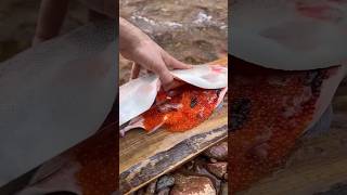 Catch amp Cook Salmon in the Wild Quick Camp Cooking Guide [upl. by Aliet]