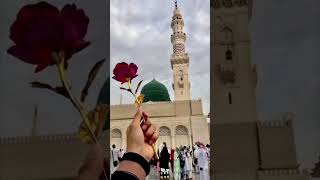 Marhaba ya mustafanewvairalshortvideoislamicmusicislamicstatustrending [upl. by Thadeus11]