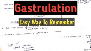 Gastrulation Embryology  Very Easy Way to Remember [upl. by Dhiman481]