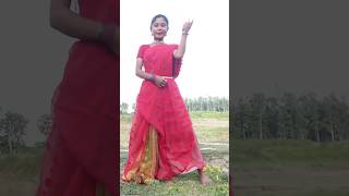 Bindiya Re Bindiya Lal Sari Pindiya dance viral dancesong sorts shorts [upl. by Postman]