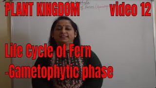 Life Cycle of Fern GAMETOPHYTE BIOLOGY  ISC CBSE NEET  Board exams [upl. by Eeryk]