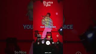 D Prince ft Wizkid  So Nice Lyrics lyricstrybe afrobeats [upl. by Aushoj]