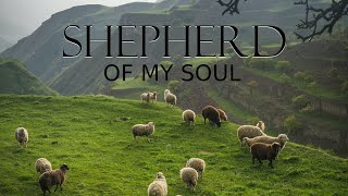 Shepherd of My Soul  Marty Nystrom  Worship Instrumental Music [upl. by Inoek587]