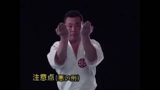 Seienchin  Kata amp Bunkai  Shito Ryu Karate [upl. by Urson]