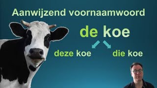 Les 13 Lidwoorden en aanwijzend voornaamwoorden learndutch nederlandsleren nt2 [upl. by Esserac417]