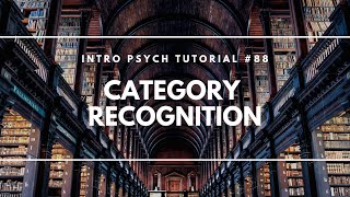 Category Recognition Intro Psych Tutorial 88 [upl. by Royd]