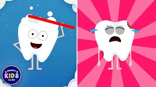 Brush Brush Brush Your Teeth  Educational Song for Toddlers [upl. by Rhianna]