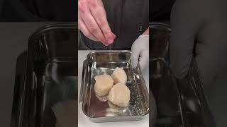 Scallops cooking asmr food recipeshorts [upl. by Deer]