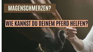 Dein Pferd hat Magen Was tun Natürliche Lösungen Magenschmerzen [upl. by Llehcor335]