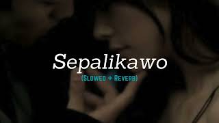 Sepalikawo Slowed  Reverb  Casper Vibez [upl. by Fleisher]