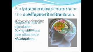 Trauma Module 5Trauma and the Brain [upl. by Gawain]