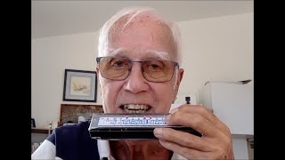 QUI SAURA MIKE BRANDT CHROMATIC HARMONICA MARCEL NIZON [upl. by Griselda]