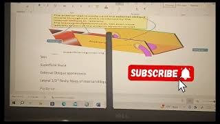 Inguinal Canal  Superficial and deep inguinal rings  Mechanism of inguinal canal imp mustwatch [upl. by Murrah592]