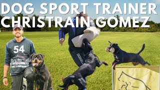 How to Train Your Rottweiler for Sports [upl. by Silberman903]