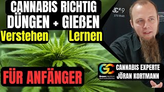 Cannabis Anbauen richtiger Dünger und gießen Nährstoffmangel Überdüngung Schädlinge für Anfänger [upl. by Dori]