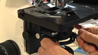 Koehler Illumination Microscope [upl. by Irrab466]