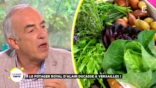 Le potager royal dAlain Ducasse à Versailles [upl. by Herculie]