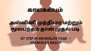 அஸ்வினி முத்ரா மற்றும் மூலபந்தம்  Kayakalpa yoga tamil Part 3 [upl. by Nealey230]