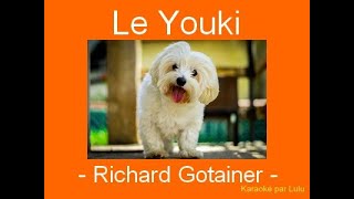 Karaoké Le Youki Richard Gotainer [upl. by Erlin156]